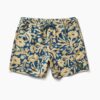 Shorey Boardshorts 16"