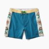Passage Side Panel Boardshorts 16"